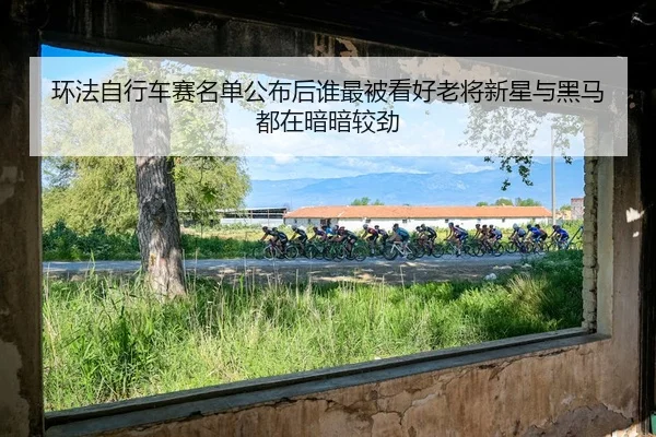 环法自行车赛名单公布后谁最被看好老将新星与黑马都在暗暗较劲